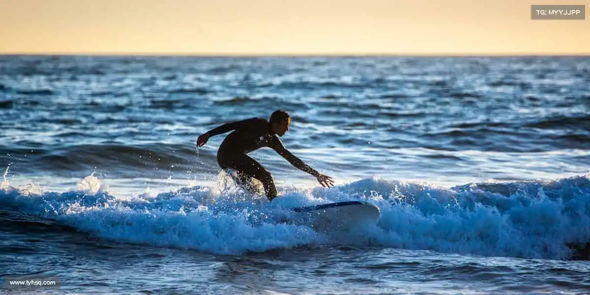 美狮贵宾会ms092021——🏇马术优雅，掌控每一步节奏🐎